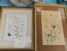 Two framed Marjorie Blamey watercolours of flowers