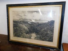 A framed antique landscape print