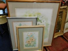 Three framed watercolours by local artist Margo Am