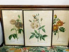 Three 19thC. floral lithographs
