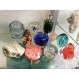 Ten glass paperweights & a ammonite fossil