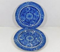 A pair of blue & white pearlware style plates 9.75