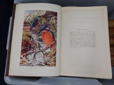 Eight volumes of Natural History & Animal books