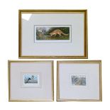 Collection of various framed prints Condition: