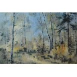 Watercolour - A hazy woodland scene, unsigned, 49.5cm x 38.5cm, framed and glazed Condition: