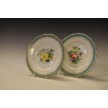 Pair of late 19th Century Copeland porcelain cabinet plates, each having painted botanic