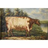 Modern oil on canvas - Cow in a landscape, framed Condition:
