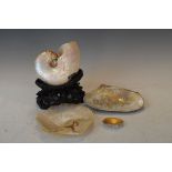 Three carved and engraved mother-of-pearl shells Condition: