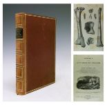 Books - Gideon Mantell - The Geology Of The South East Of England, published by Longman, Rees, Orme,