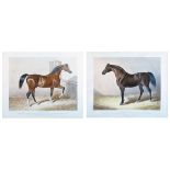 Pair of equestrian prints - The race horses Sultan and Catton, after the original engravings by C.