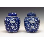 Pair of Chinese ovoid jars and covers, each having prunus decoration on a blue ground, each base