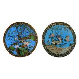 Two Japanese cloisonné dishes, each Meiji period and decorated with birds amongst foliage on a