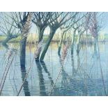 Cecile Crombeke (1921-2002) - Oil on board - River Reflections With Rushes, signed, 52cm x 69.5cm