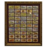 Cigarette Cards - Player's Sea Fishes, framed and glazed Condition: