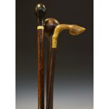 Knob keri, walking stick, the horn handle in the form of a horses hoof and one other walking stick