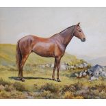 Marjorie Kingston Walker - Early 20th Century equestrian watercolour - Golden Penny 1936, signed,