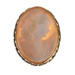 Shell cameo brooch depicting a female in profile within hallmarked 9ct gold frame and bar