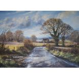 Terry Harrison - Oil on canvas - A country lane with cottage beyond, 44cm x 59cm, in gilt frame