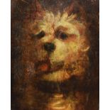 Manner of George Armfield - 19th Century oil on panel - Head of a terrier, unsigned, 27.5cm x 21.