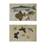 Two 19th Century Chinese watercolours on pith paper, one depicting three fish, the other butterflies