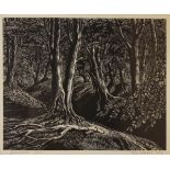 Peter Reddick - Limited edition wood-cut - Beechwoods, No.20/80, signed, titled, numbered and