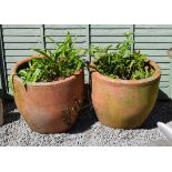 Large pair of terracotta coloured planters or jardinières Condition:
