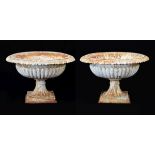 Pair of white painted cast iron garden urns or planters, each of krater form on fluted socle and