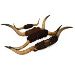 Four pairs of buffalo horns Condition: