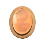 Carved shell cameo oval brooch decorated with the head of a lady, the frame stamped 18, 13g approx