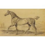 19th Century pencil sketch of a thoroughbred race horse in a landscape, 17cm x 25.5cm, framed and