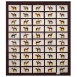Framed full set of fifty Player's Derby and Grand National Winners cigarette cards, framed under