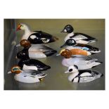 Eight Beswick Peter Scott duck figures comprising: King Eider duck, Goldeneye Duck, Pochard Duck,