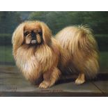 H. Crowther - Oil on canvas - Study of a Pekinese dog 'Spinney Shan Foo', signed and dated 1930,