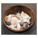 Treen dairy bowl/fruit bowl together with a selection of shells to include a cowrie shell carved