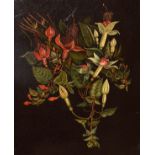 Oil on board - Still life of flowers (probably fuchsia), 31cm x 26cm, framed Condition: