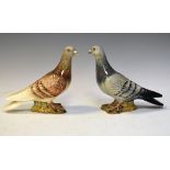 Two Beswick figures of pigeons, No.1383a, the first in brown, the second in grey, each being the