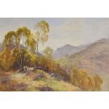 James Jackson Curnock (1839-1892) - Watercolour - In The Valley Of The Llugwy, North Wales, signed