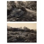 Local Interest - Martyn Wrench - Two charcoal studies - 'Packhorse Bridge, Horner, Somerset' and '