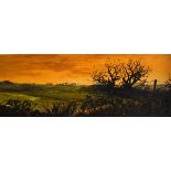 Willis (20th Century) - Large oil on board - Extensive rural landscape at sunset, signed lower