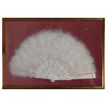 Ostrich feather fan in gilt frame under glass Condition: