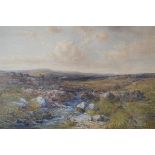 Charles Brooke Branwhite (1851-1929) - Watercolour - Old Down, Dartmoor, signed, 49cm x 75cm