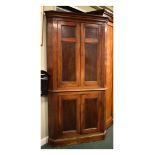 19th Century mahogany floor standing double corner cabinet, the upper stage having a moulded cornice
