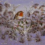 Mary Shaw - Acrylic on board - Winter scene with perching robin, signed lower left, 29.5cm square,