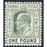 1902 CCA £1 green & black, fine M, SG.70. (1) Cat. £300