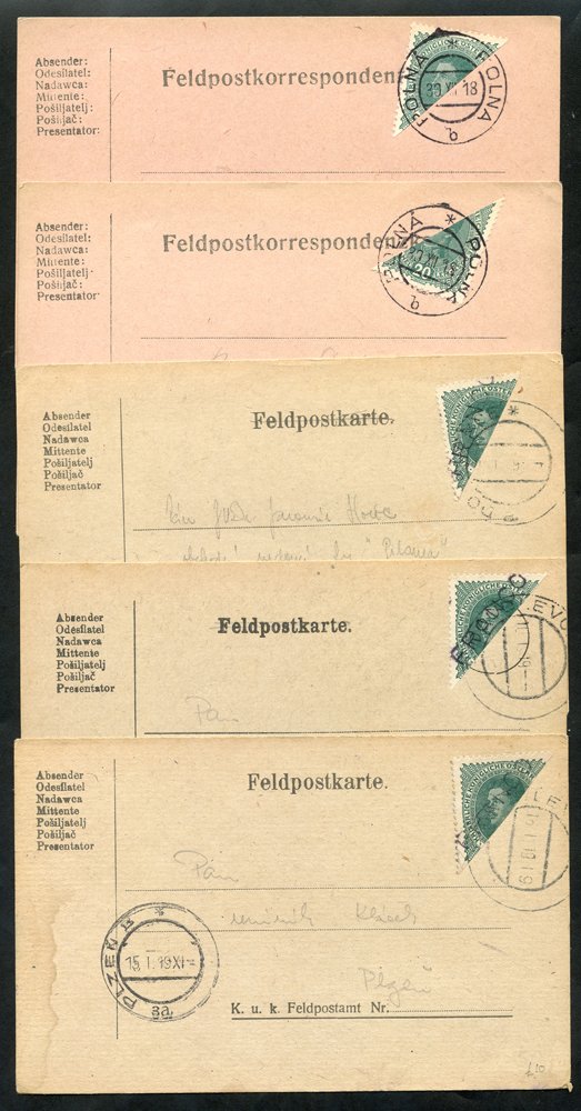 1919 provisional bisects incl. Emperor Franz 20h vertical (2) or diagonal (6) bisect plus 'FRANCO'