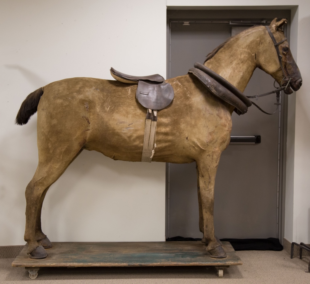 Tack Shop Horse Display. Tack Shop Horse Display . Total Height 6' 8" L 7'. Online bidding - Image 2 of 2