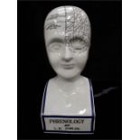 A modern Fowlers Phrenology bust.