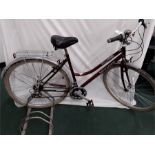 A Probike shopping bike. 18 speed with mudguards, stand and rack. Some light corrosion. (R36)
