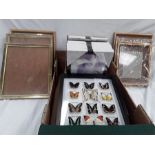 A box of picture frames together with a framed collection of Butterflies.