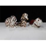 Royal Crown Derby paperweights Guinea pig, Seahorse and a bear.